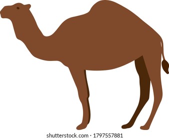 Camel in vector. Abstract brown animal. Illustration for the design of notebooks, t-shirts, fabrics, postcards, printed products.