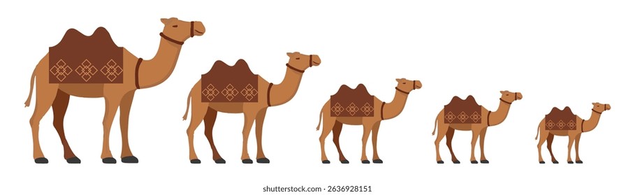Camel vector art illustration. Two humped camel Set. Brown Color, Flat White Background.