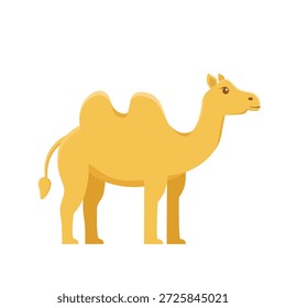 Camel vector. camel cartoon. camel iilustration