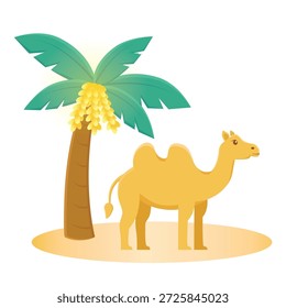 Camel vector. camel cartoon. camel iilustration
