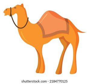 Camel Vector Design yellow colors 