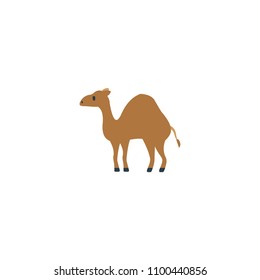 Camel Vector Flat Icon