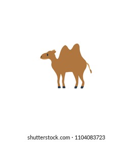 Camel vector flat icon