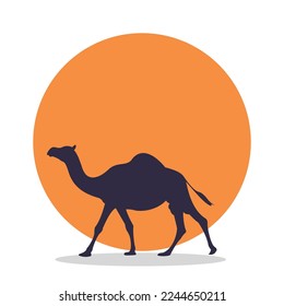 Camel Vector Flat Style illustration