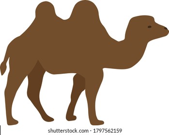 Camello en formato vector. Ilustración abstracta. Dibujado por las manos. Para camisetas, telas y postales.