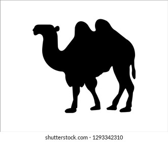 Camel vector icon.