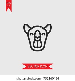 Camel vector icon, illustration symbol
