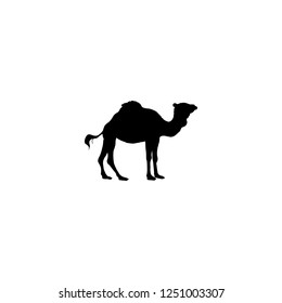 camel vector icon. camel sign on white background. camel icon for web and app