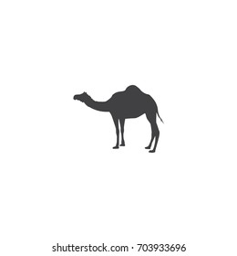 camel vector icon, silhouette