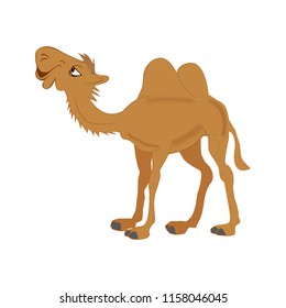 camel, vector illustration