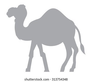 Camel vector illustration