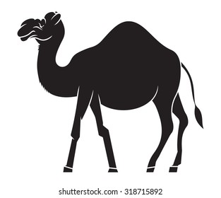 Camel vector illustration