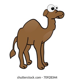 camel vector illustration