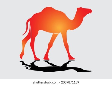 Camel vector illustration with background animal cartoon