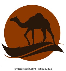 camel vector illustration can be used as logo