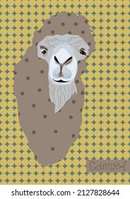 Camel. Vector illustration. Cover. A4 size. 