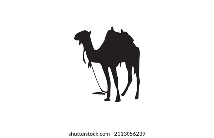 camel vector illustration design black and white