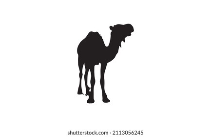 camel vector illustration design black and white