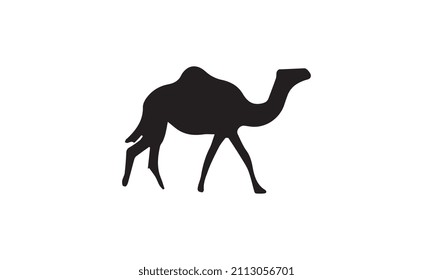 camel vector illustration design black and white
