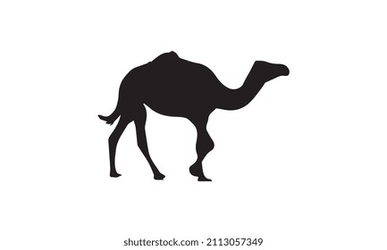 camel vector illustration design black and white