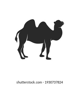 Black Camel Images, Stock Photos & Vectors | Shutterstock
