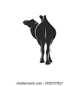 Camel vector illustration design, silhouette camel with black colour