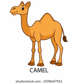 Camel vector illustration isolated on white background in cartoon style.