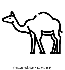 Camel vector illustration in line stroke design