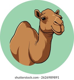 ilustração de vetor de camelo sobre fundo verde