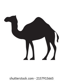 Camel Vector Illustration On Stock Vector for free eps file