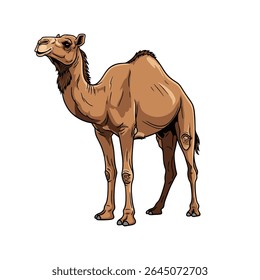 ilustração de vetor de camelo sobre fundo branco