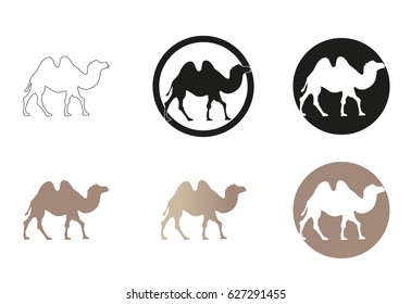 Camel vector illustration, silhouette pictogram on white background