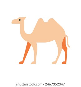 Camel vector illustration. Simple and minimalistic camel icon