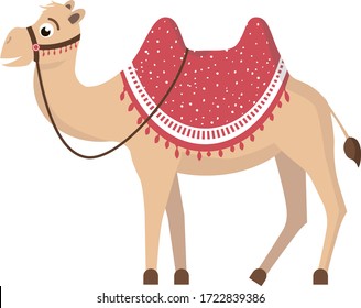 Camel. Vector illustration. Zoo art