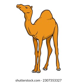 camel vector illustration,isolated on white background,top view