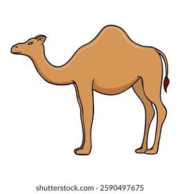 camel vector illustration,isolated on white background,top view