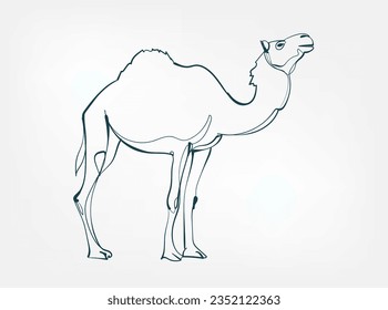 camel vector line art animal wild life single one line hand drawn illustration isolated