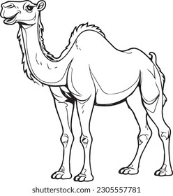 Camello: estilo de dibujo de línea vectorial para páginas de color