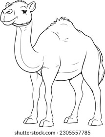 Camel: vector line art cartoon style for coloring pages