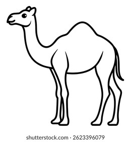 Camel vector line art on white baclground