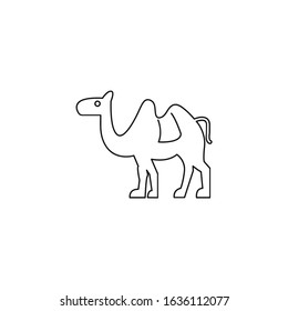 Camel vector line icon on white background