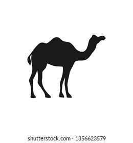 Camel Icon Vector Concept Illustration Design Stock Vector (Royalty ...