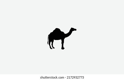 Camel vector logo design template