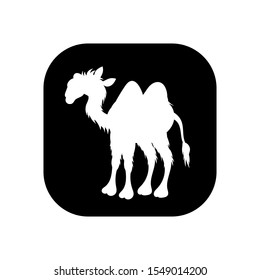 Camel - vector logo icon for web. white on black. Minimalistic cartoon style.