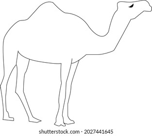 Camel vector outline isolated white color
