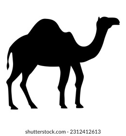 Camel vector png for illustration. Silhouettes of camels