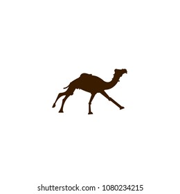 Camel vector silhouette. Camel logo