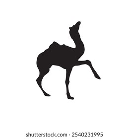 Silhueta de vetor de camelo sobre fundo branco