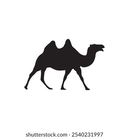 Camel vector silhouette on white background