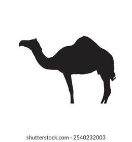 Camel vector silhouette on white background